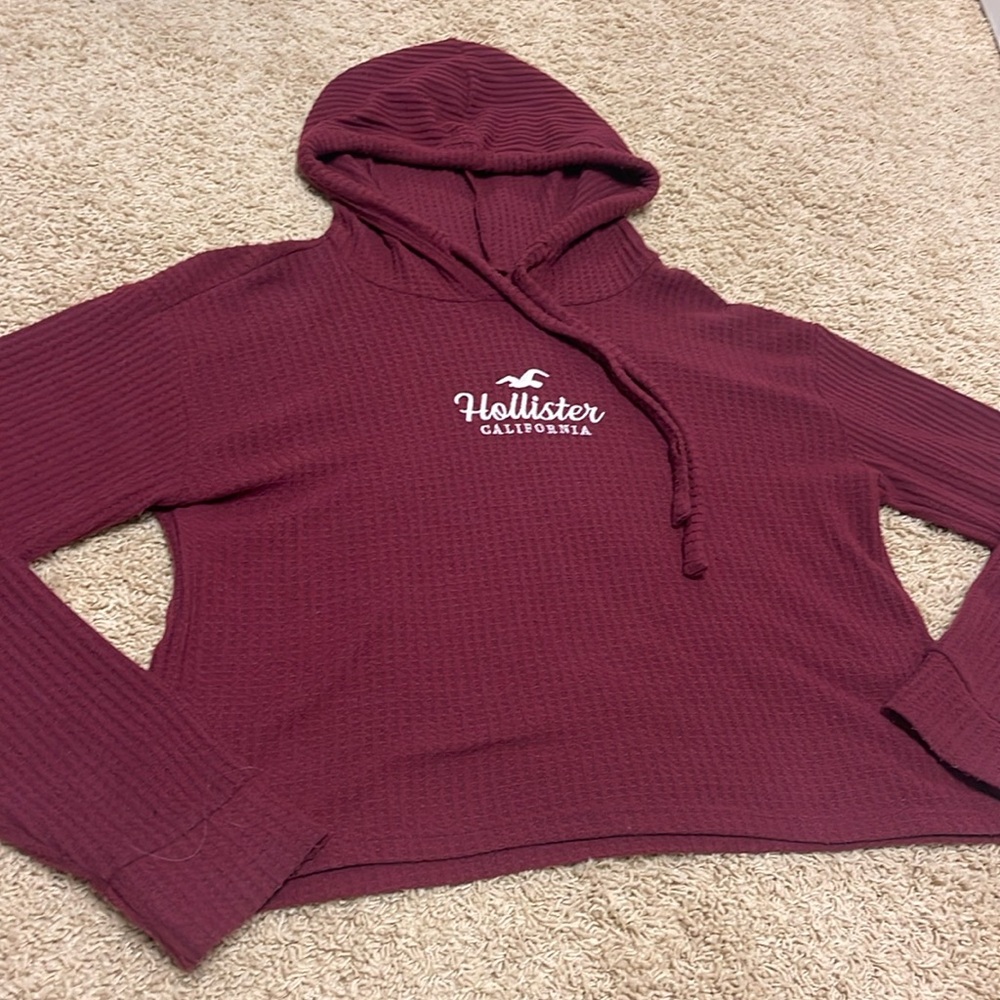 Holister Long Sleeve Hooded Top
